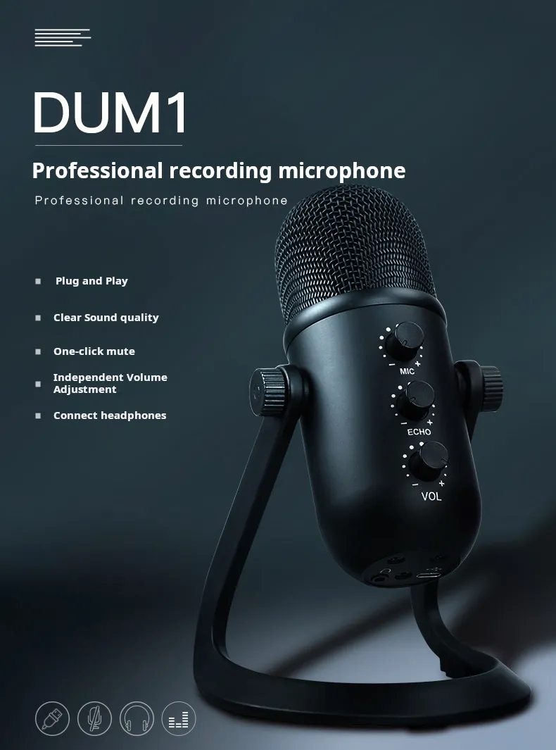 Professional recording microphone review