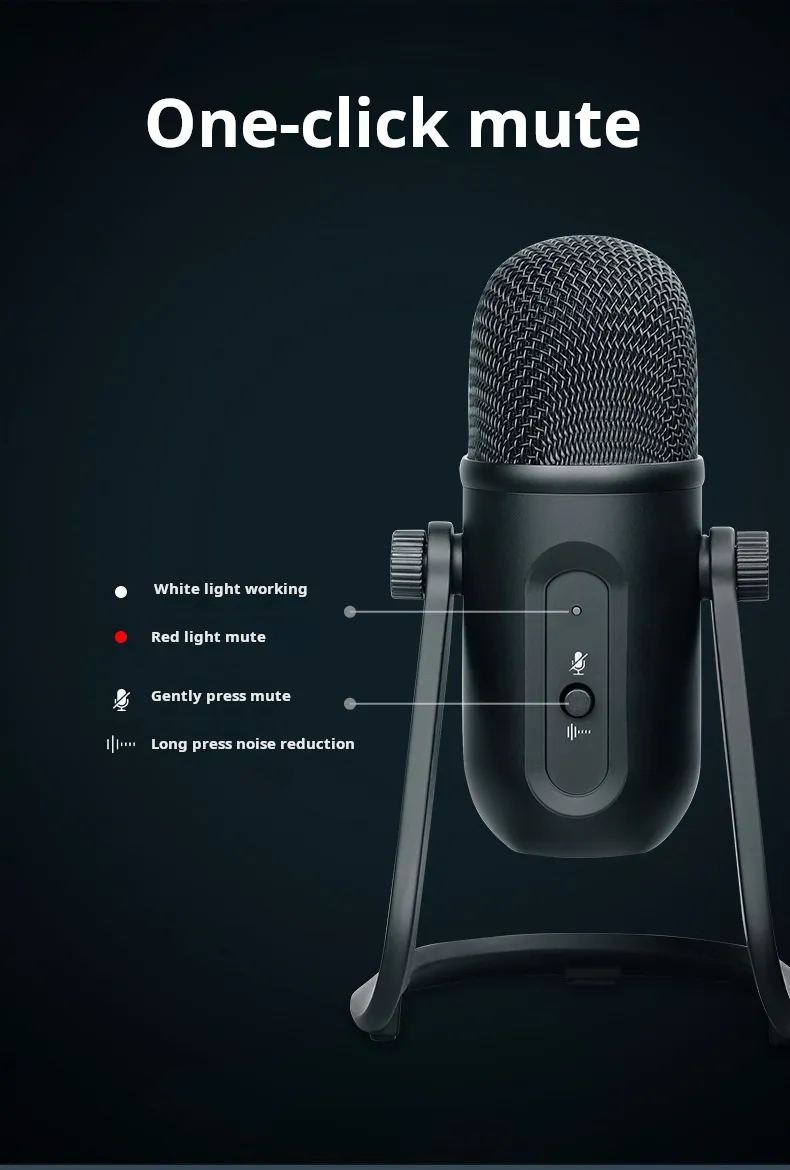 Professional recording microphone product